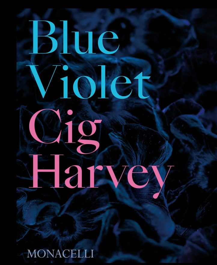 Blue Violet-Cig Harvery