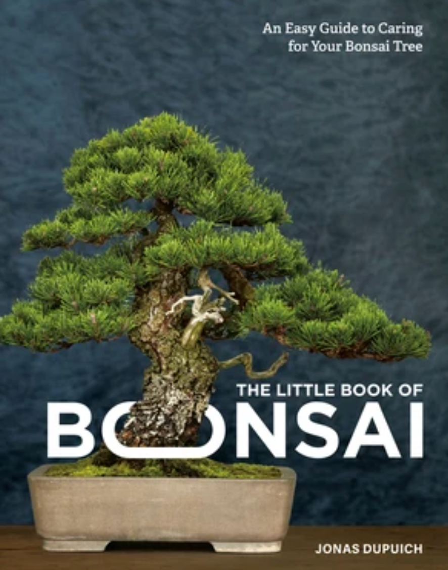 Book-Bonsai